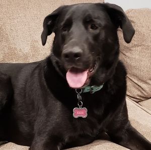 Meet your Posher, Kaia